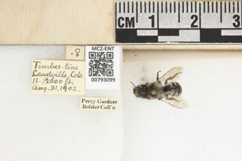 Media type: image;   Entomology 793099 Aspect: Labels